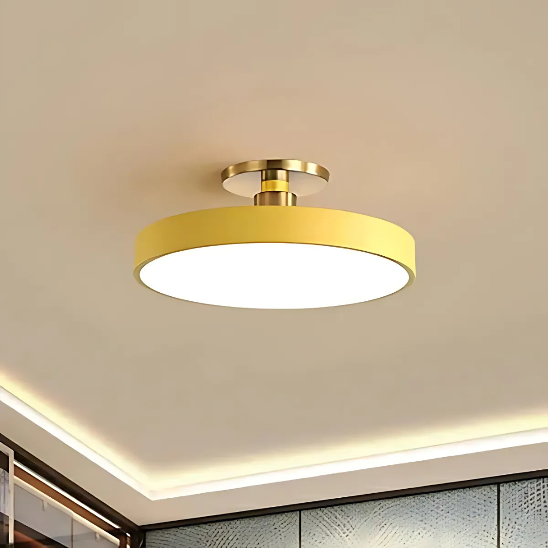 Modern Nordic LED Ceiling Lamp