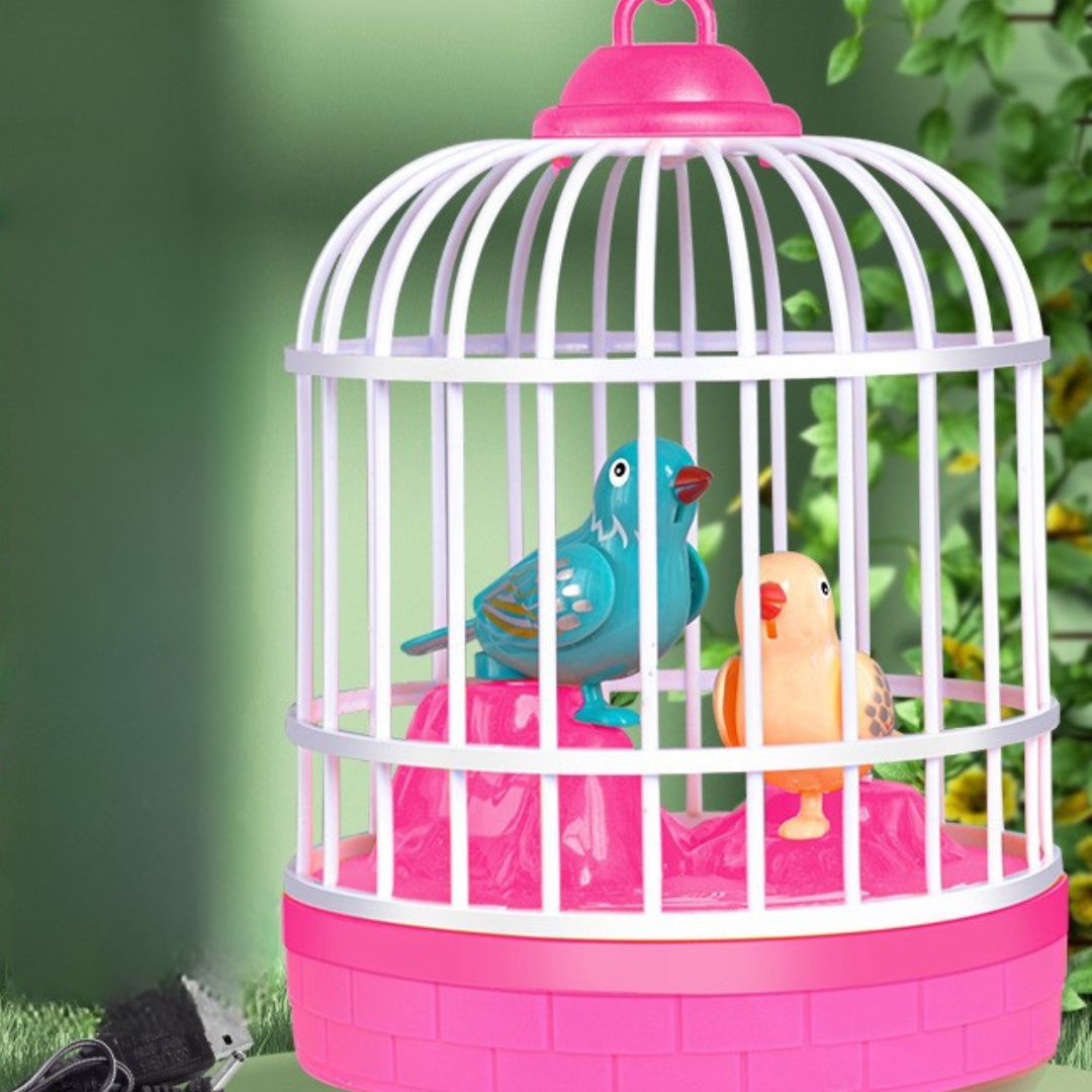 Colorful Birds Singing Cage Kids Toy