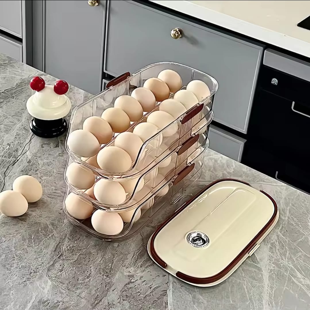 Portable Compact Egg Container - Halri