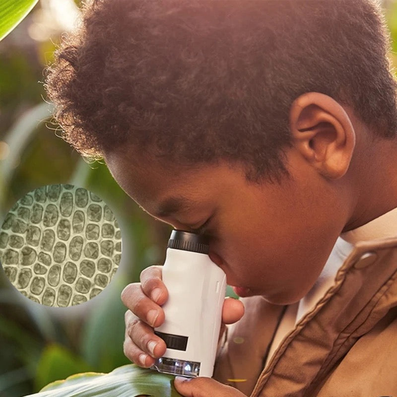 Kids Beginner Microscope - Halri