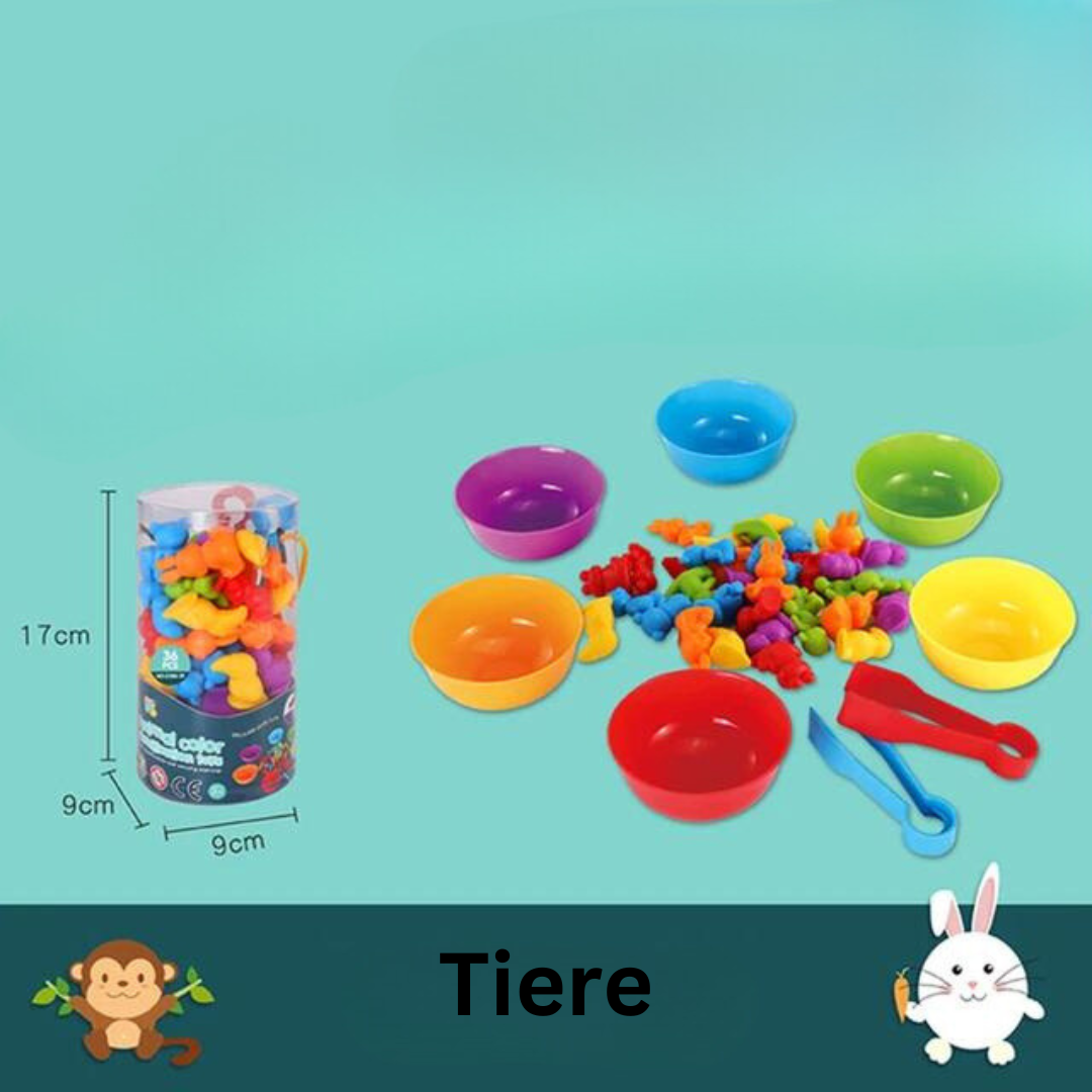 Educational Kids Sorting Toy Set
