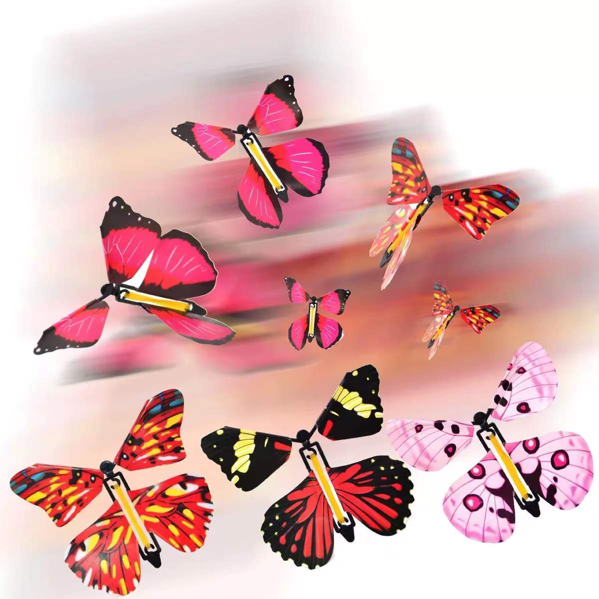 Romantic Valentine's Day Butterfly Picture Frame Gift