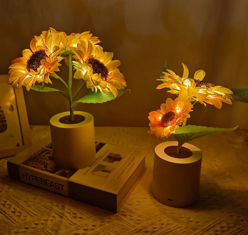 Bright Solar Powered Table Lamp - Halri