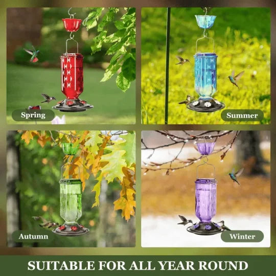 Large Clear Bird Feeder with Leak Proof Design