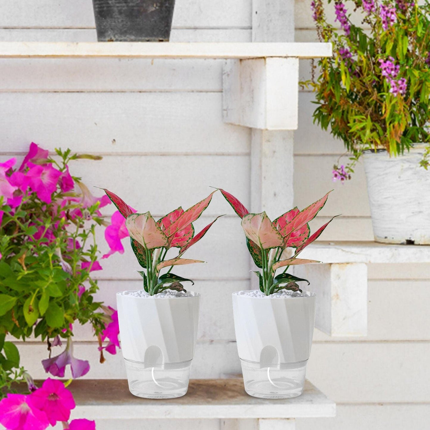 Automatic Watering Flower Pot