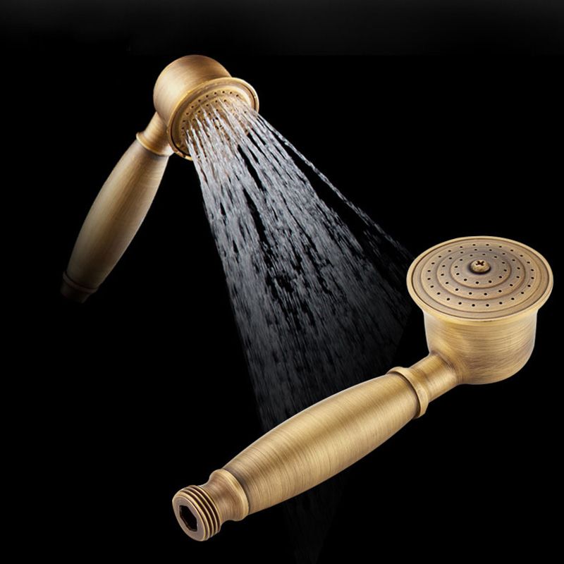 Classic Gold Showerhead with Handle