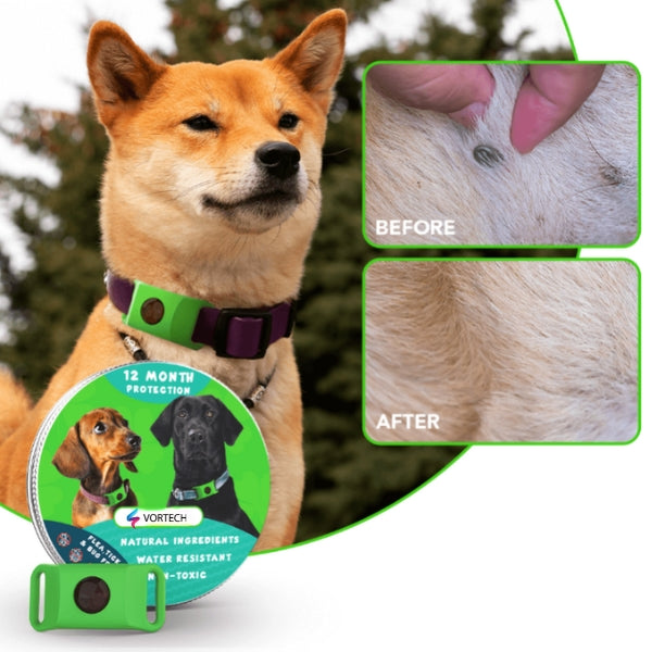 Long Lasting Pet Flea and Tick Control Spray - Halri