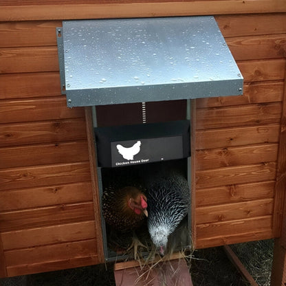 Easy Auto Chicken Coop Door Opener with Timer