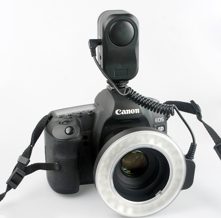 Professional LED Camera Ring Light Kit