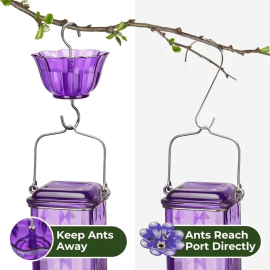 Large Clear Bird Feeder with Leak Proof Design
