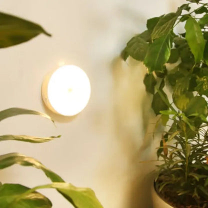 Automatic Motion Night Lamp with Rechargeable LED