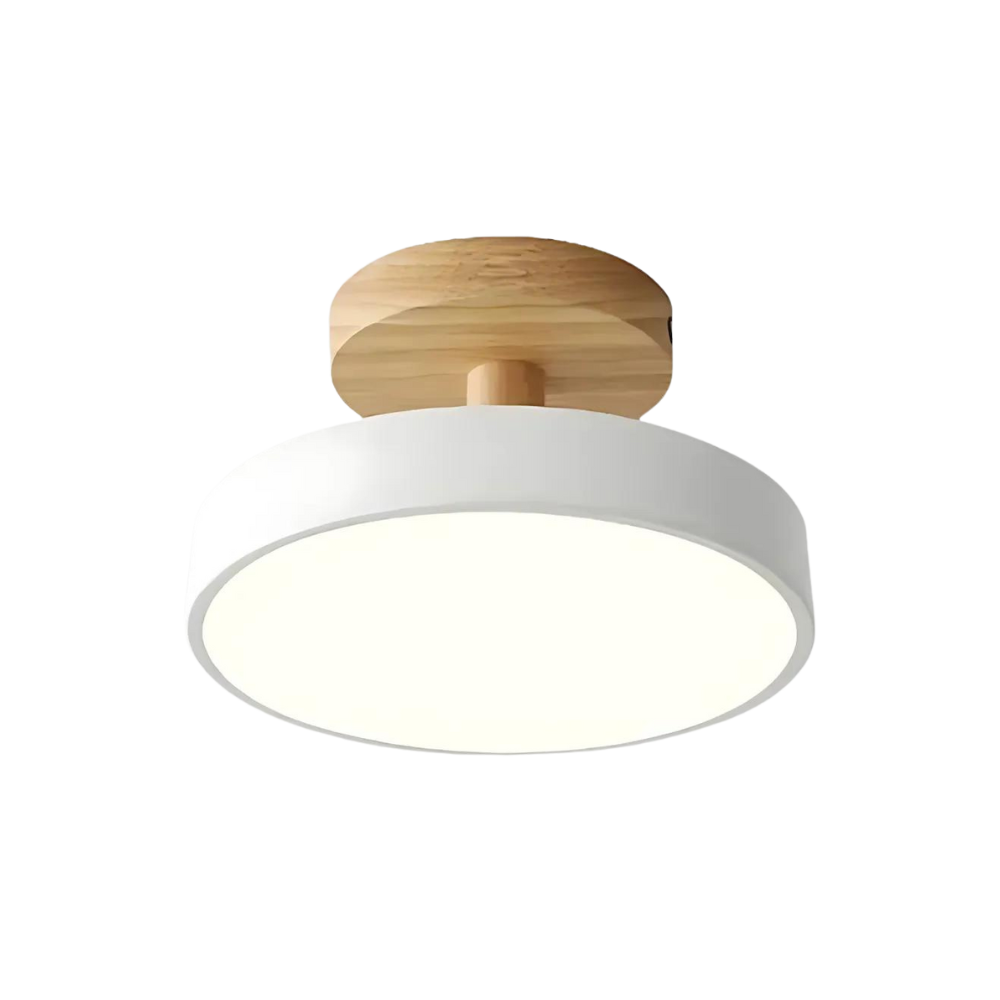 Slim Contemporary LED Ceiling Light