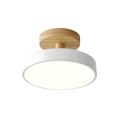Slim Contemporary LED Ceiling Light