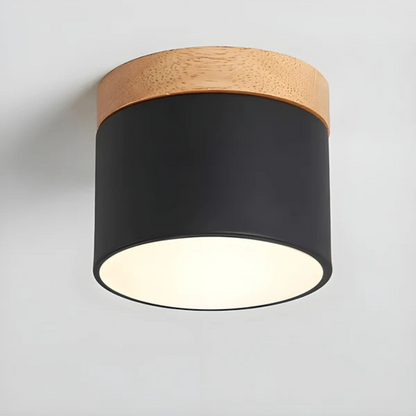 Classic Retro LED Ceiling Light