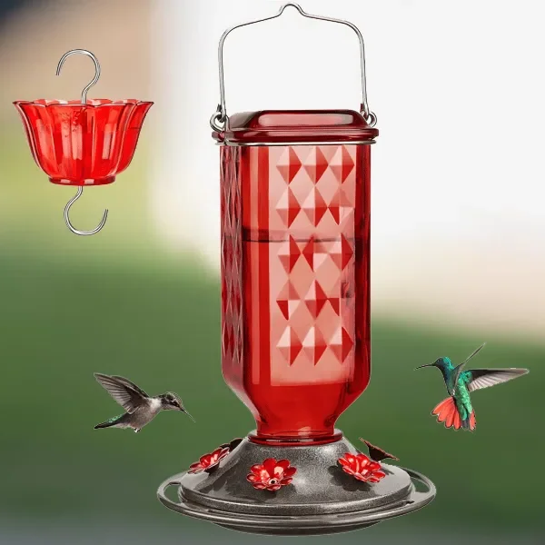 Large Clear Bird Feeder with Leak Proof Design - Halri