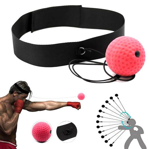 Pro Boxing Punching Training Set - Halri