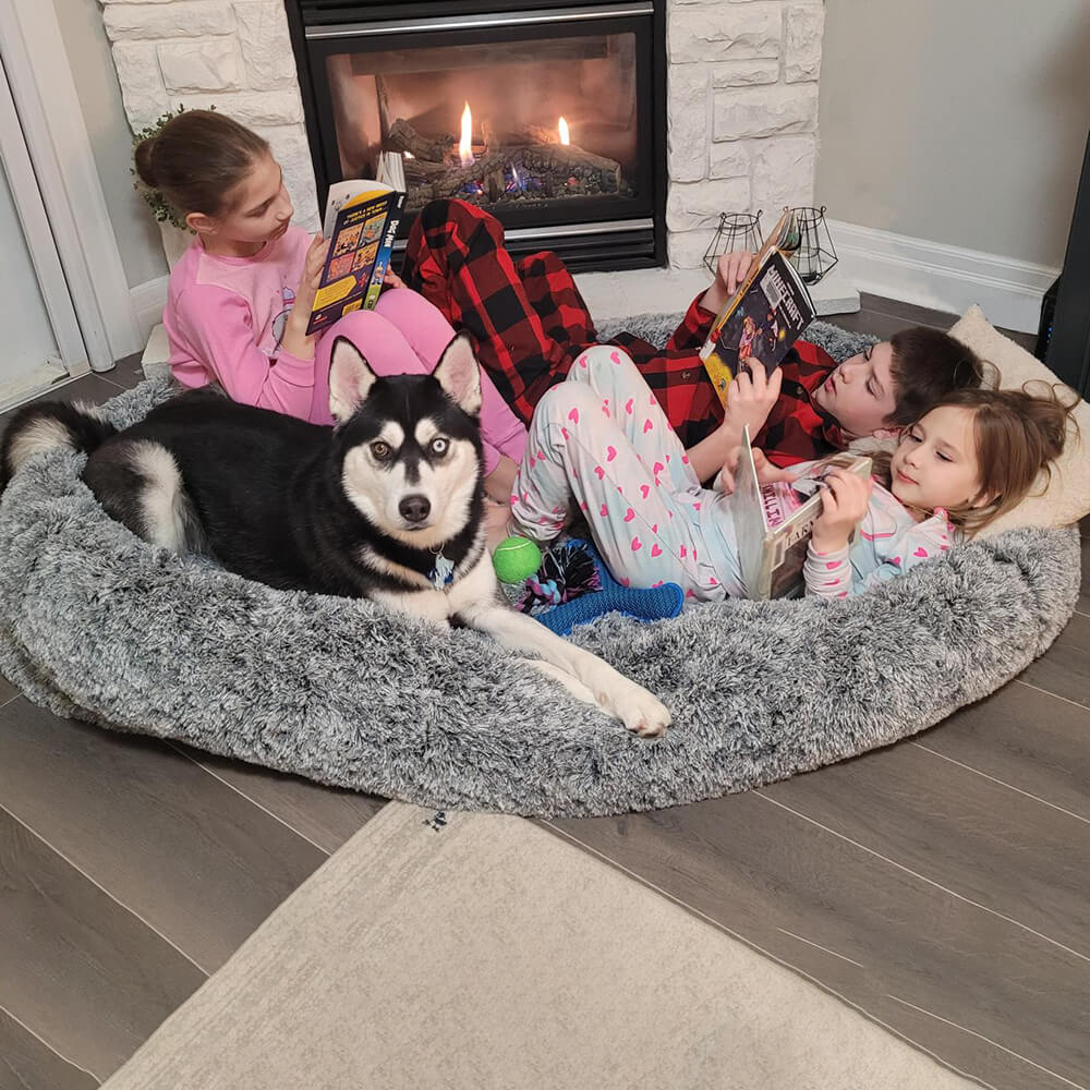 Extra Large Plush Orthopedic Dog Bed