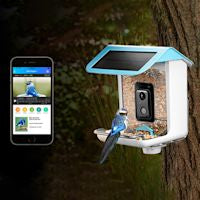 Wireless Bird Feeder Camera with HD Video and Motion Alert