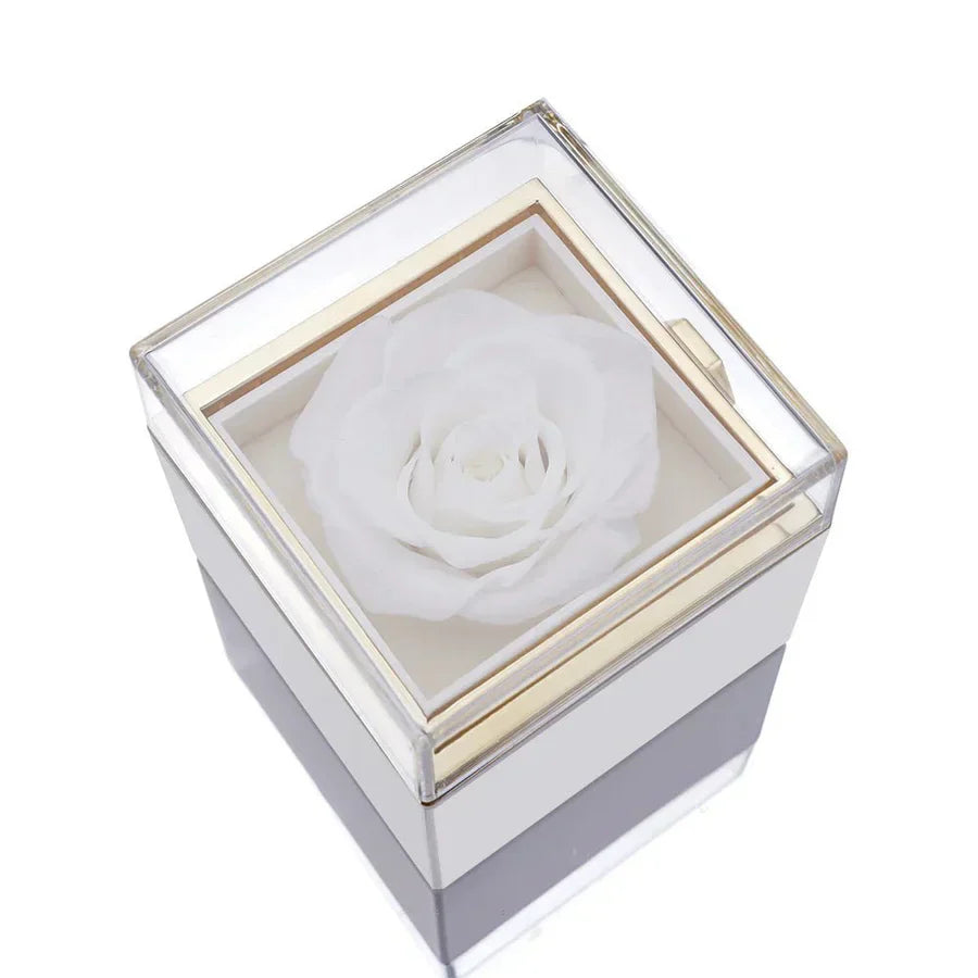 Eternal Rose Jewelry Box with Secret Necklace Inside