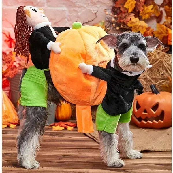 Cute Funny Pet Costume