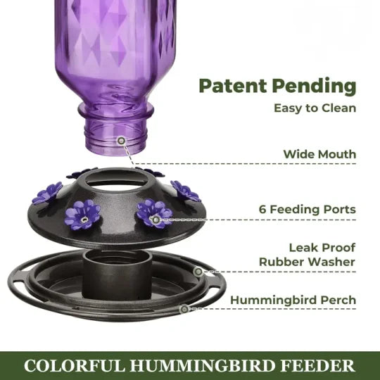Large Clear Bird Feeder with Leak Proof Design
