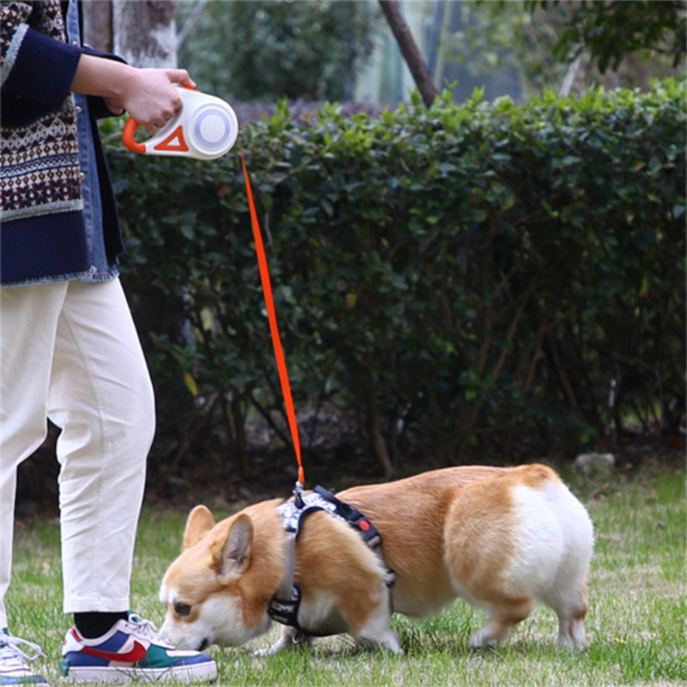 Adjustable Pet Leash with LED Flashlight
