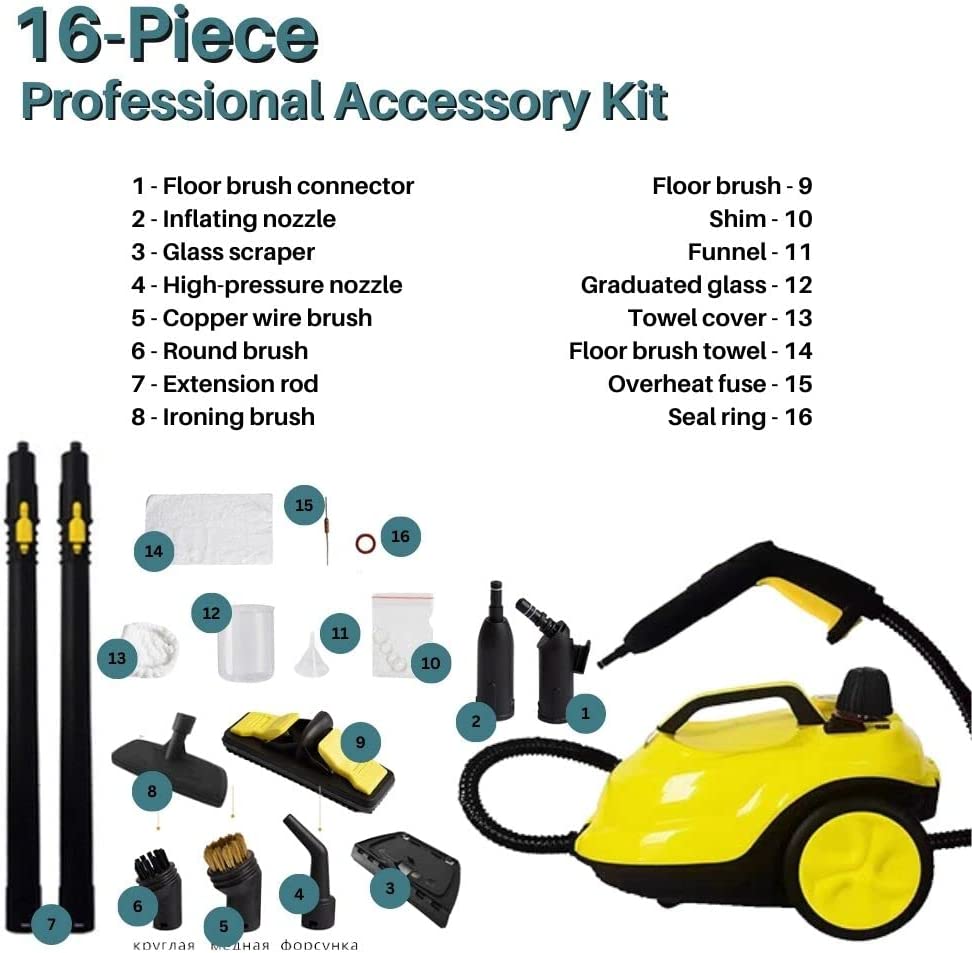 Powerful Bed Bug Steam Cleaner for Home Use
