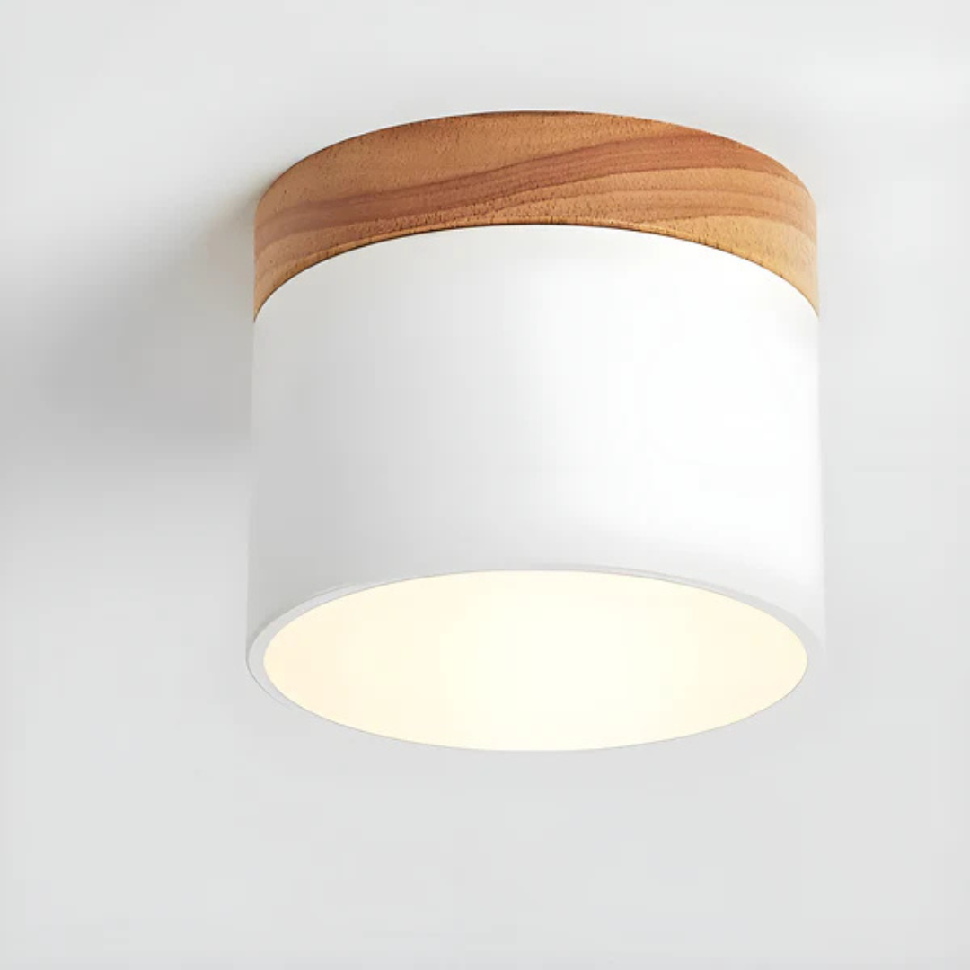 Classic Retro LED Ceiling Light
