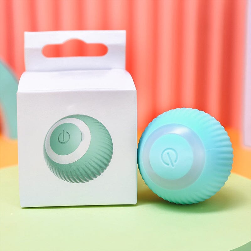 Interactive Automatic Cat Play Ball