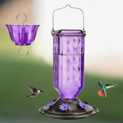Large Clear Bird Feeder with Leak Proof Design