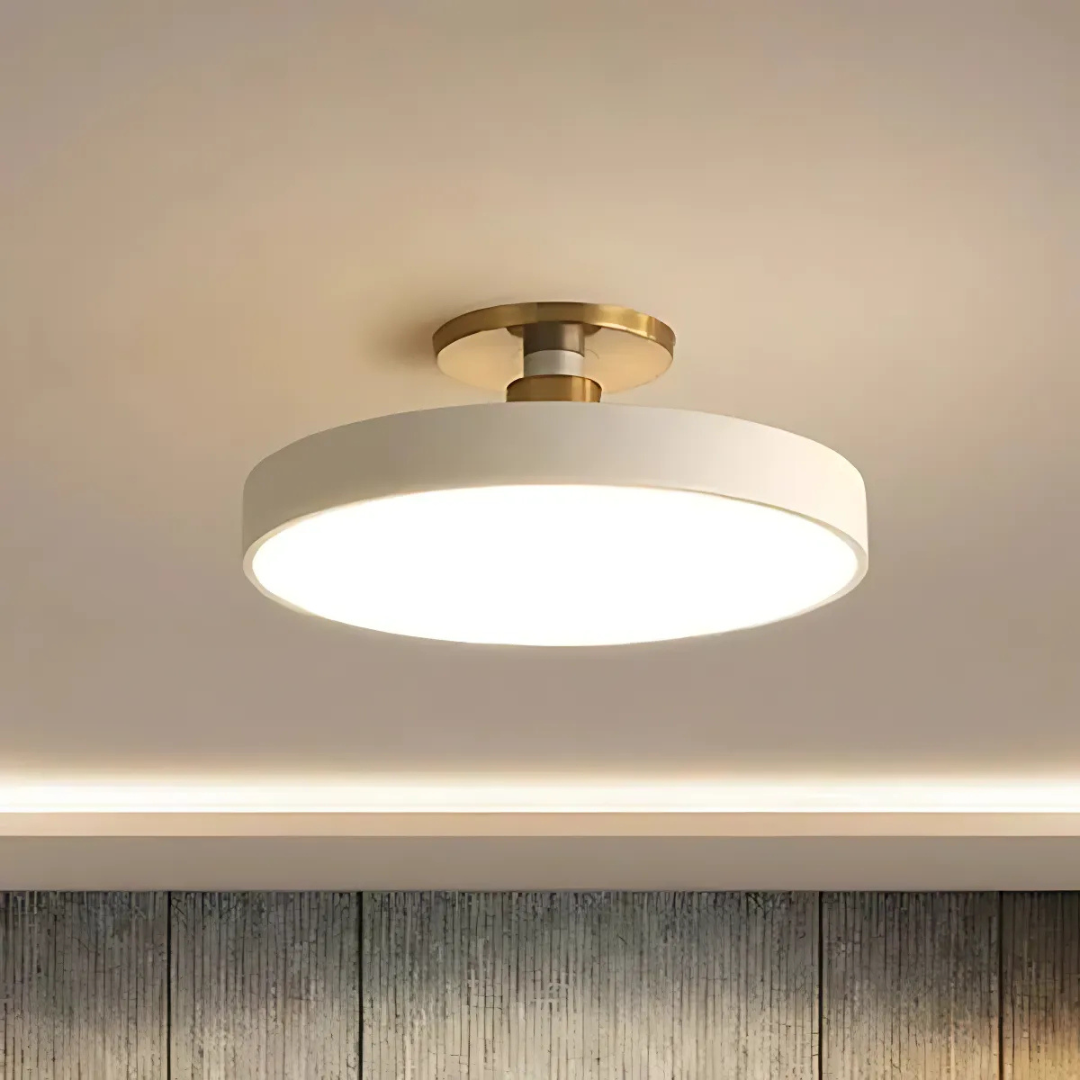 Modern Nordic LED Ceiling Lamp