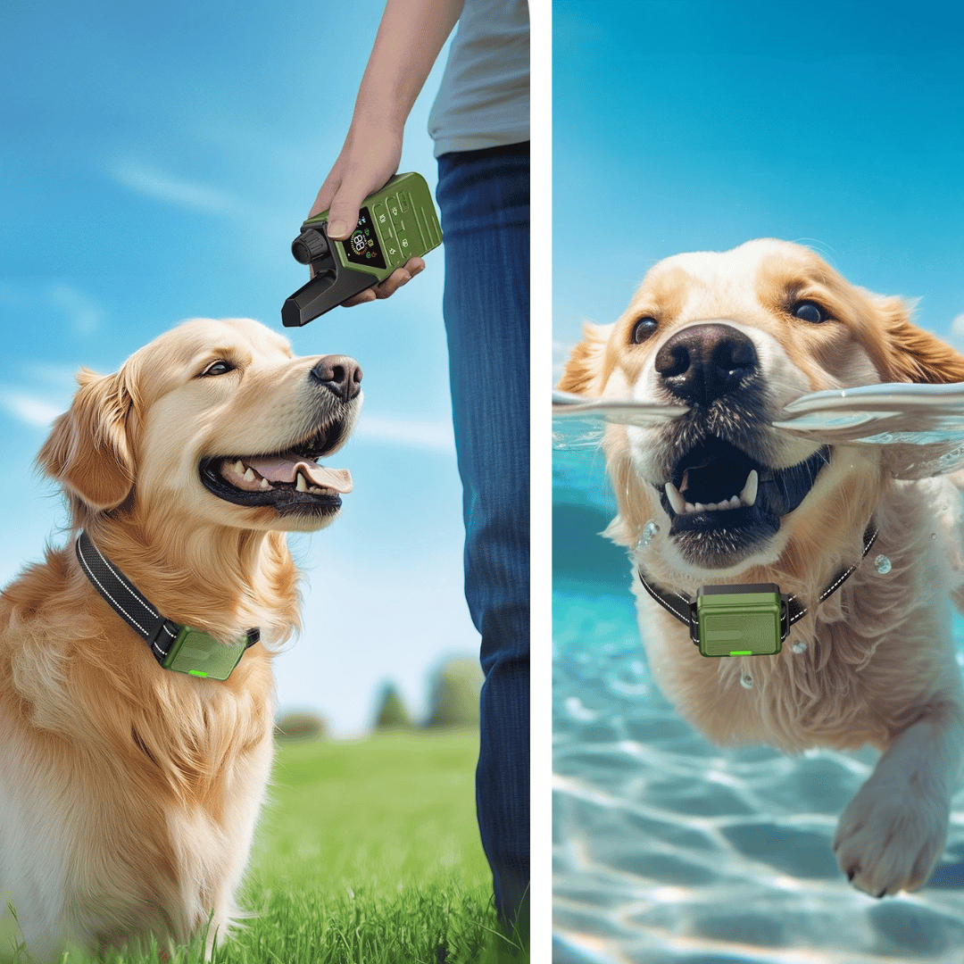 Advanced 300m Rechargeable Dog Training Collar with Remote