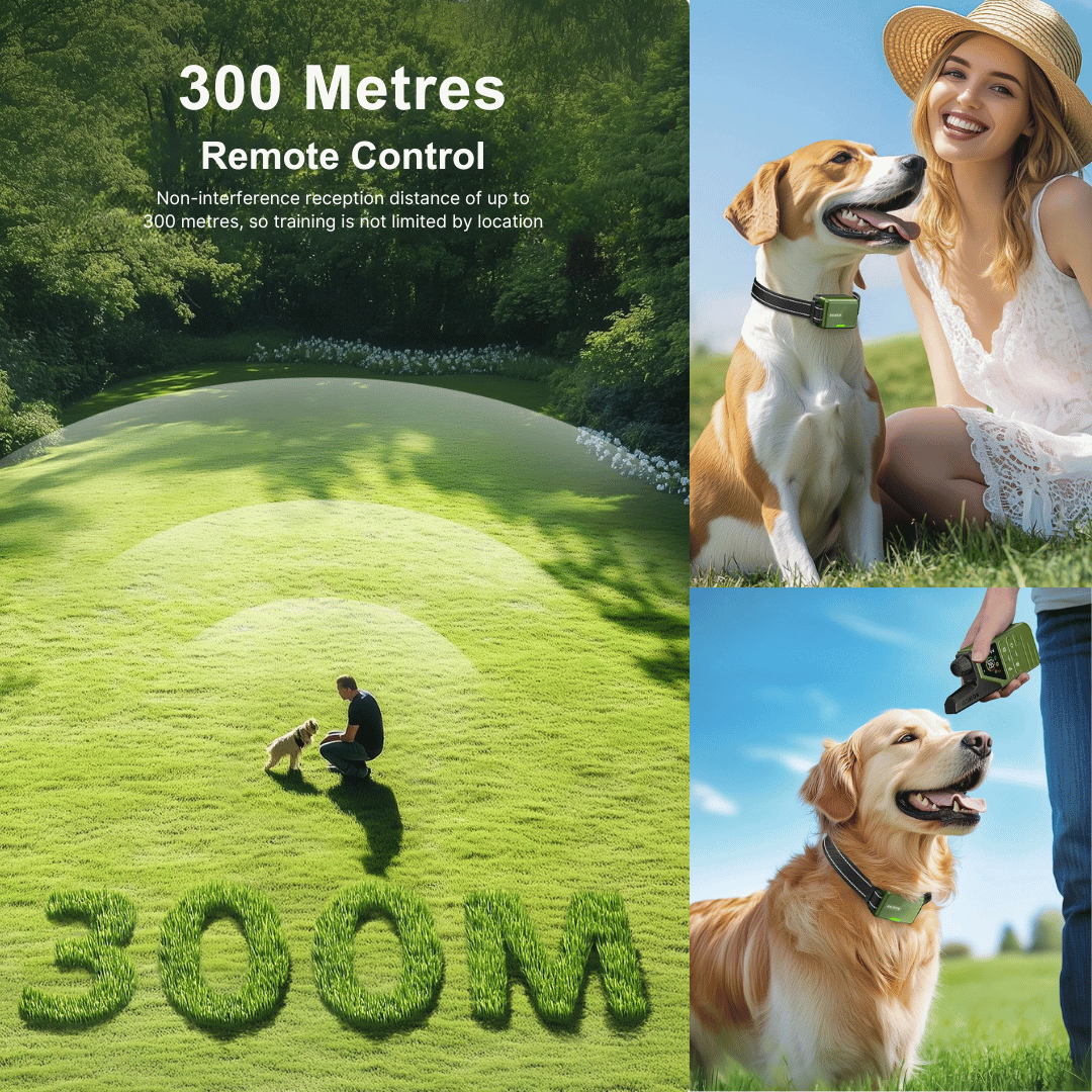 Advanced 300m Rechargeable Dog Training Collar with Remote
