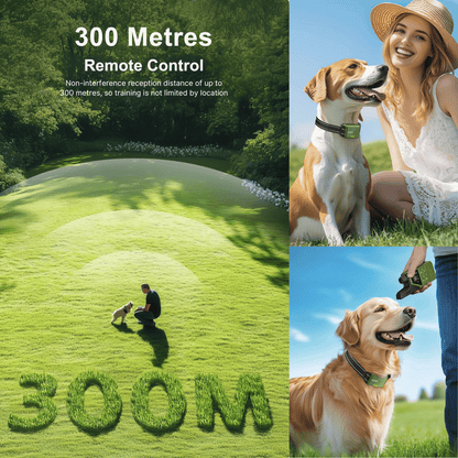 Advanced 300m Rechargeable Dog Training Collar with Remote