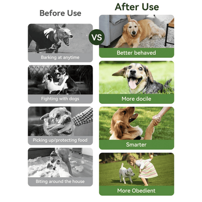 Advanced 300m Rechargeable Dog Training Collar with Remote