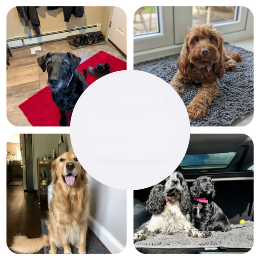 Waterproof Pet Mat – Absorbent Dog Pad - Halri