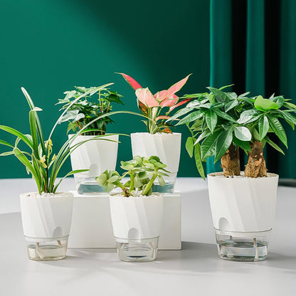 Automatic Watering Flower Pot