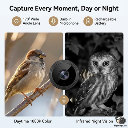 Outdoor Bird Feeder Camera 1080P WiFi