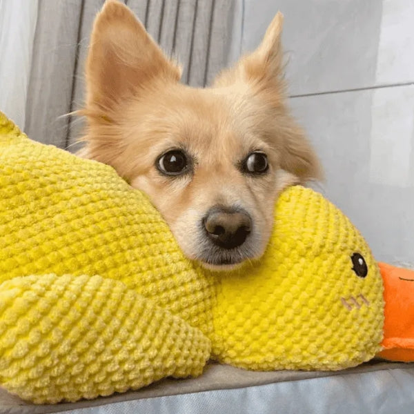 Soothing Dog Plush Toy for Calm Pets