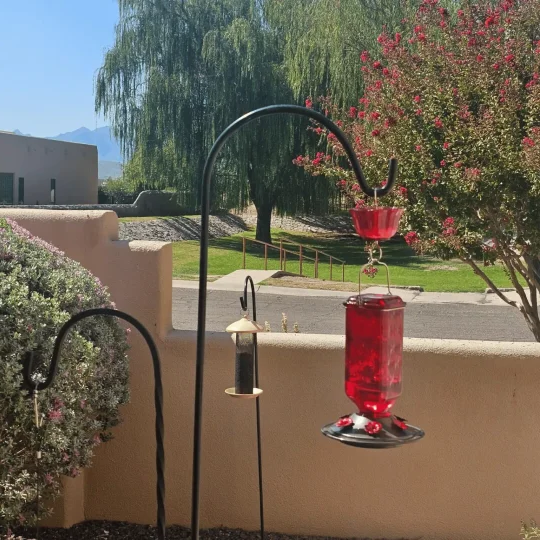 Large Clear Bird Feeder with Leak Proof Design