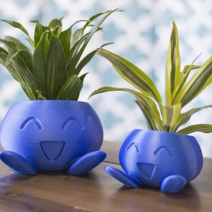 Colorful Planter Box - Halri