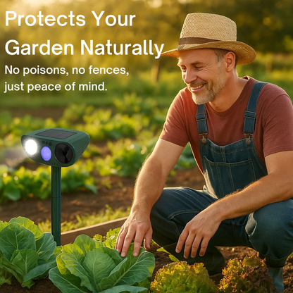 Outdoor Animal Repellent with Motion Sensor Lights