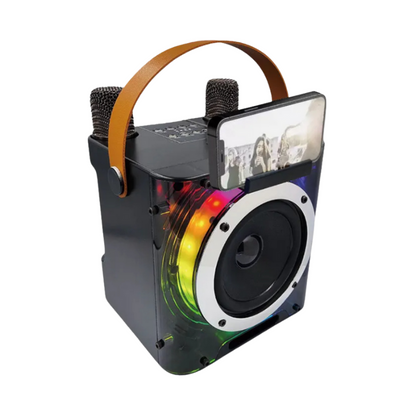 Wireless Karaoke Speaker System with 2 Mics