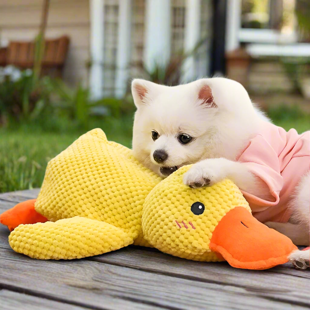 Soothing Dog Plush Toy for Calm Pets - Halri
