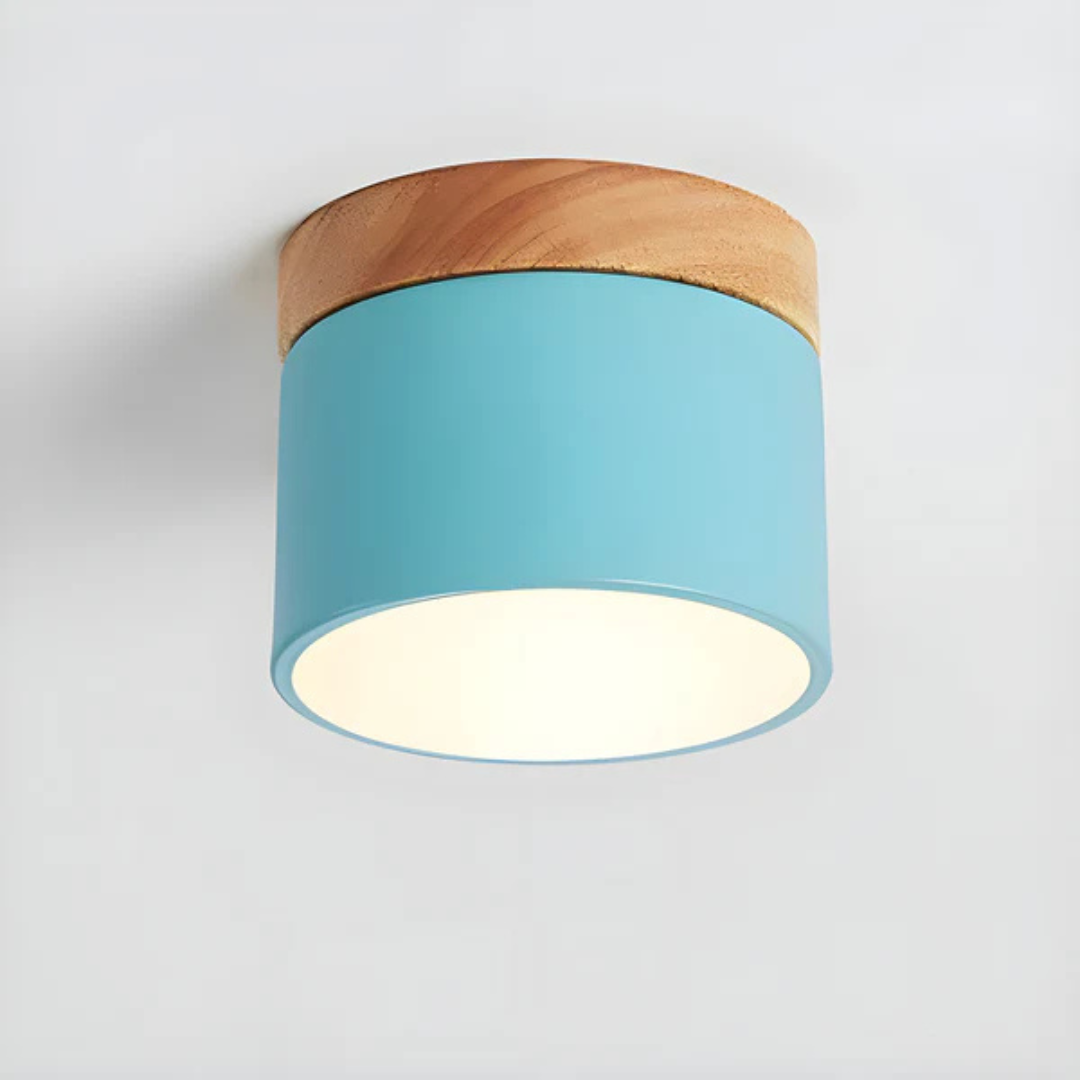 Classic Retro LED Ceiling Light