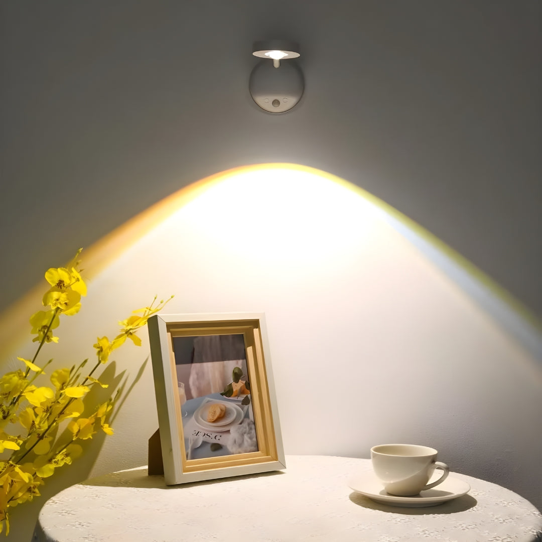Motion Activated Wireless LED Flood Light