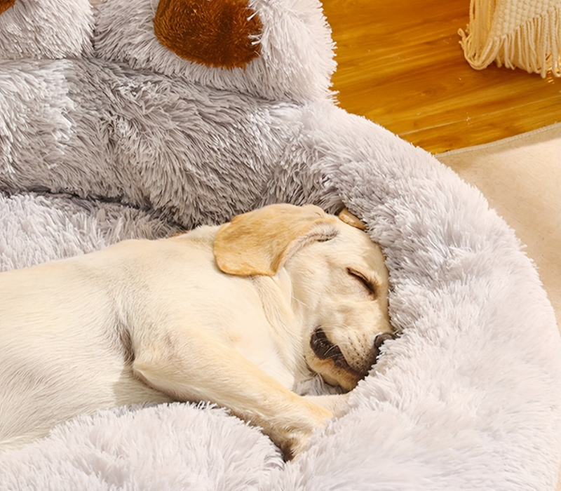 Soft Orthopedic Dog Bed with Bolstered Sides
