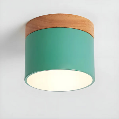 Classic Retro LED Ceiling Light