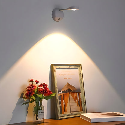 Motion Activated Wireless LED Flood Light