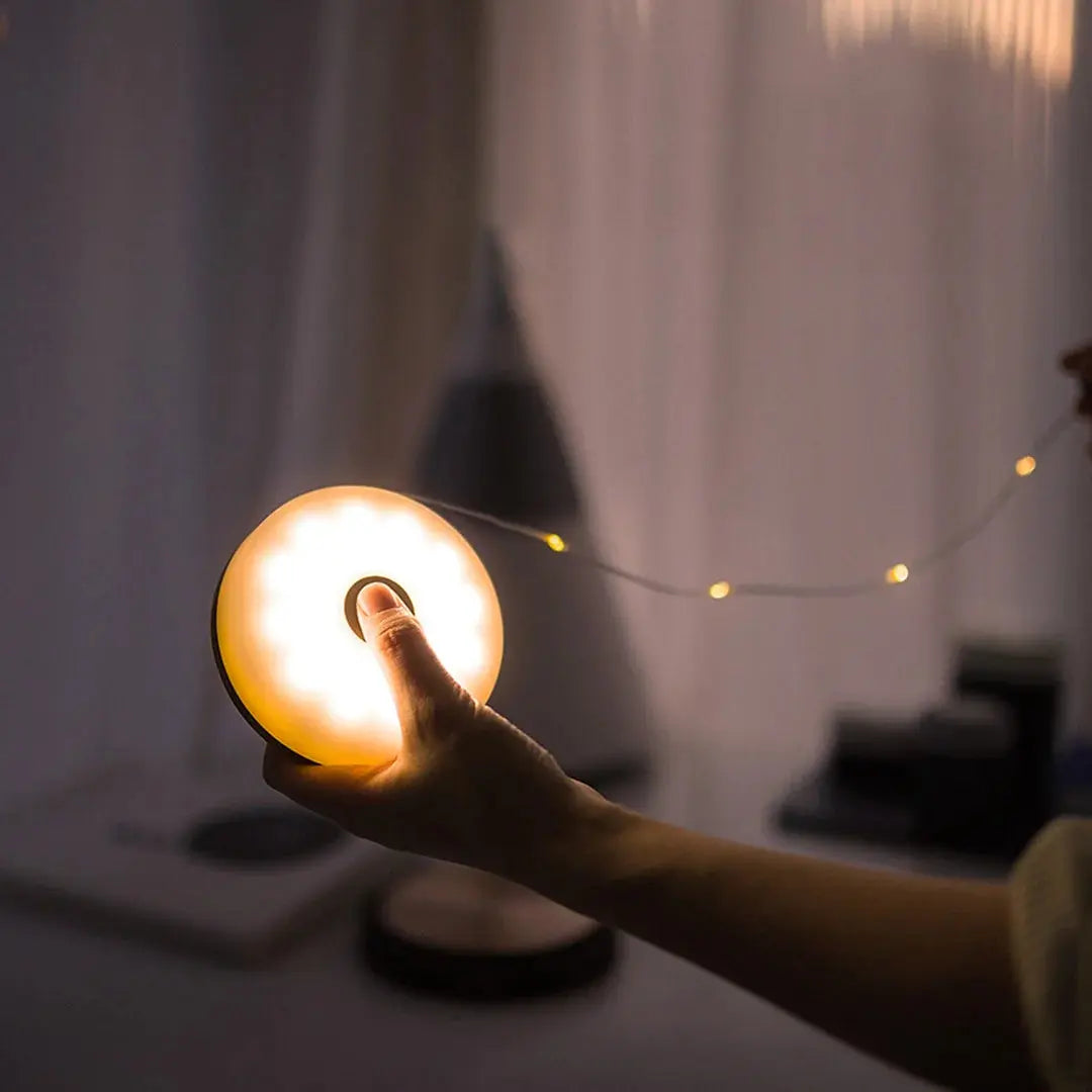 Portable Outdoor LED Camp Light